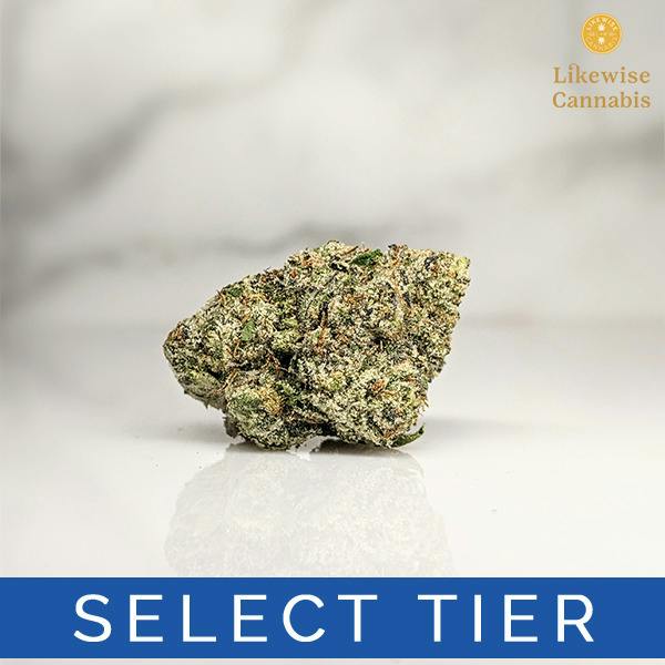 SPIKED MAI TAI 3.5G - BANANA SEAT BOTANICALS