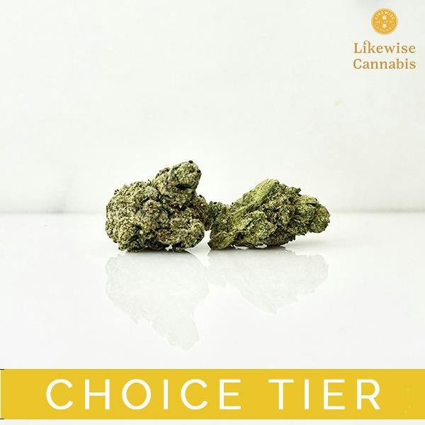 FLAVOR TOWN 14G - SOL TERRA