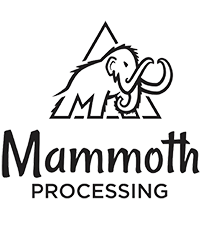 Mammoth Great White