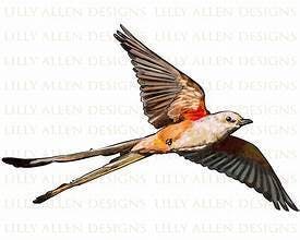 Scissortail Inferno