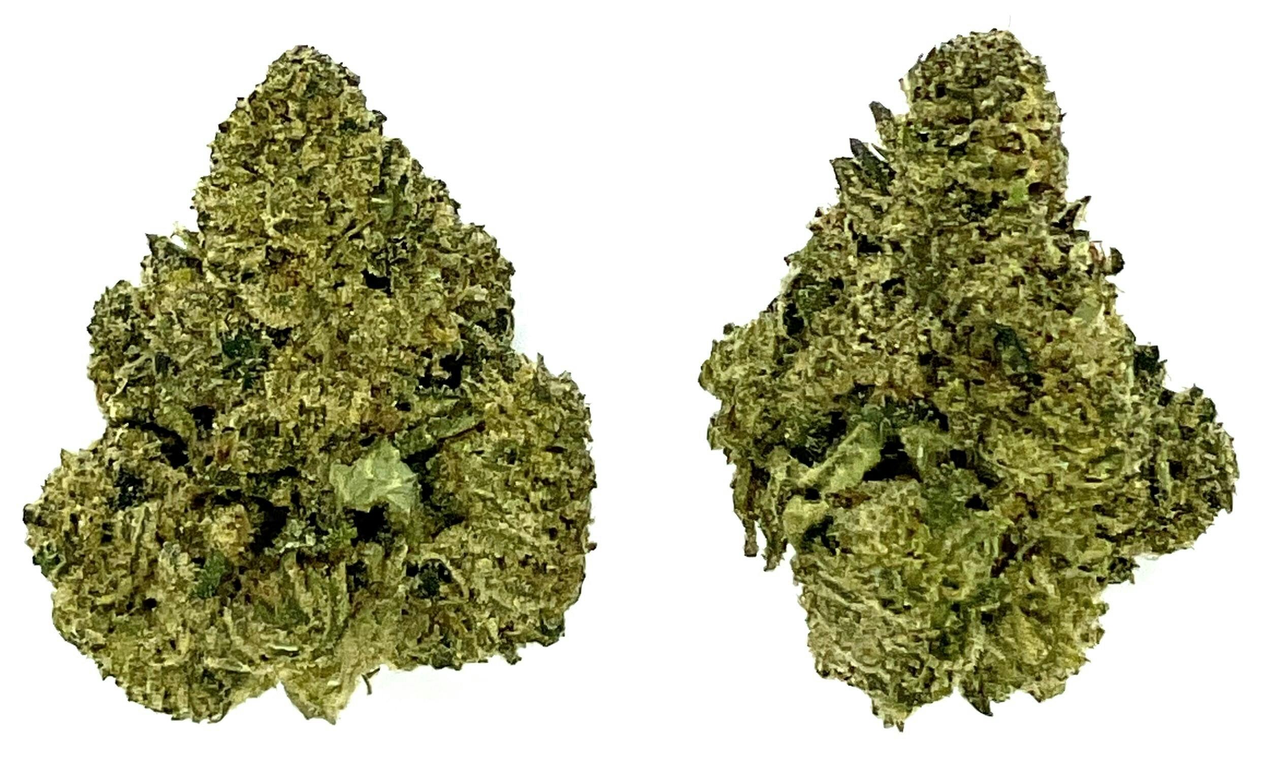 Buds | Pinata Unicorn