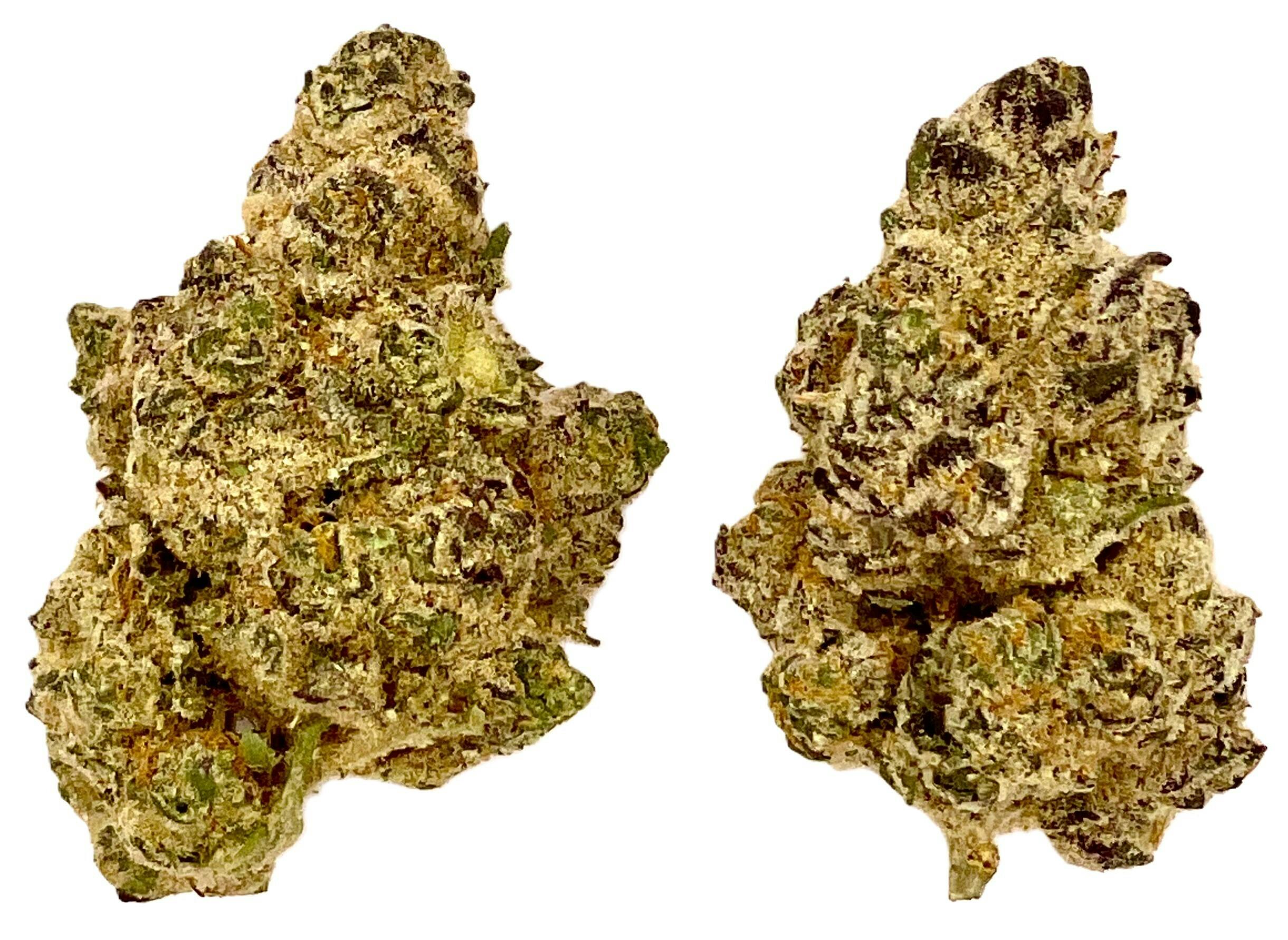 Buds | Astronaut Status