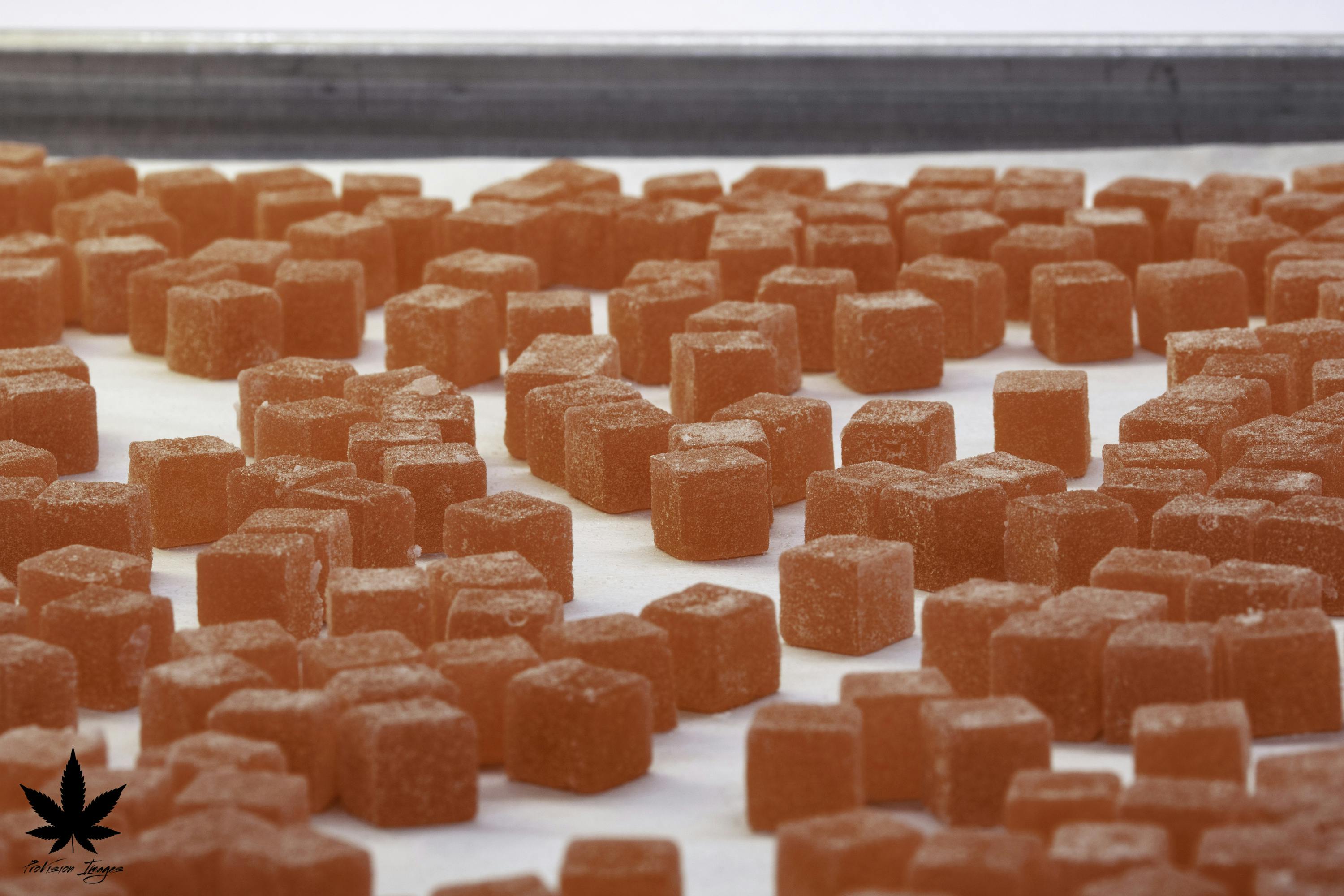 Raspberry Pectin Gummies | CBG 1:1 | 20pk