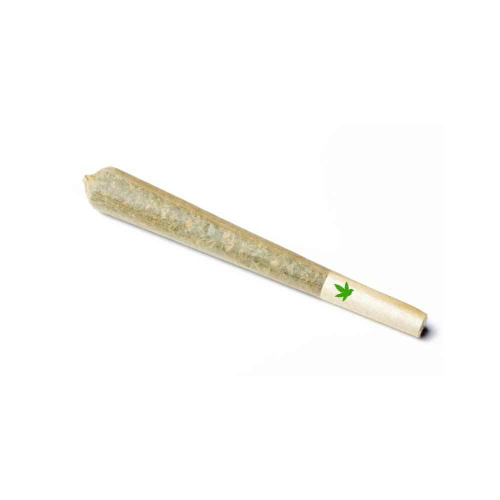 Stiiizy 40's 5pack Infused Pre Rolls