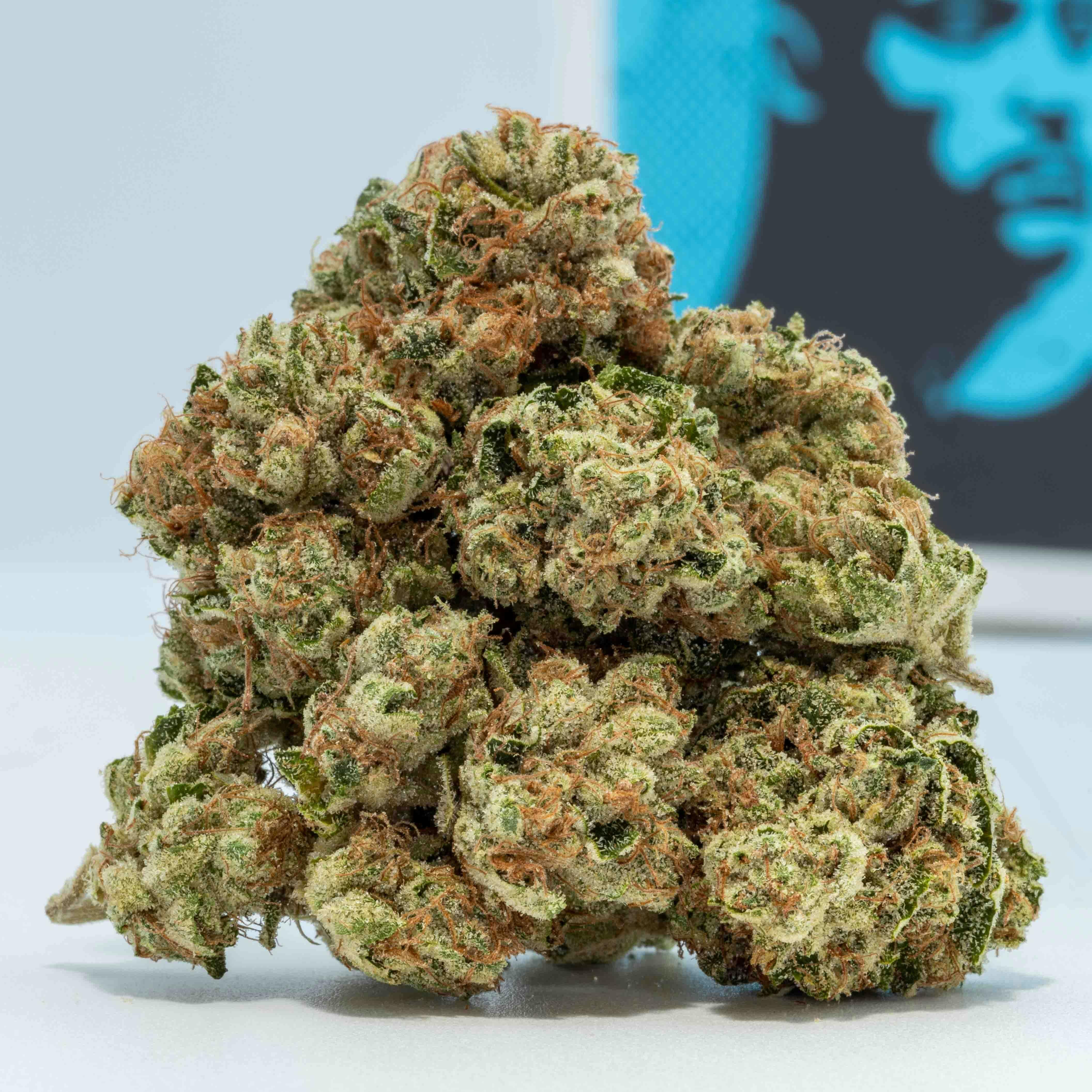 Long Beach OG | Rhelm Cannabis |