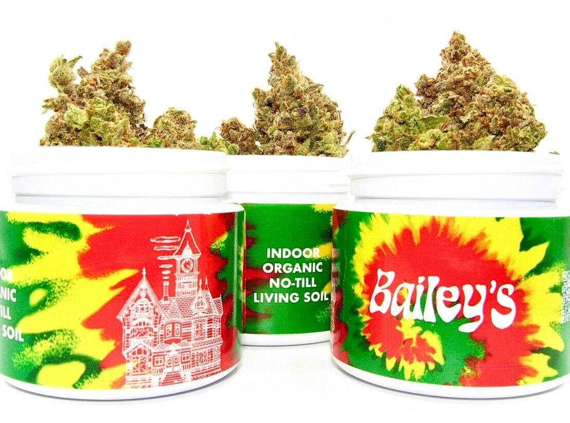 Waiting Game | Bailey's Buds |