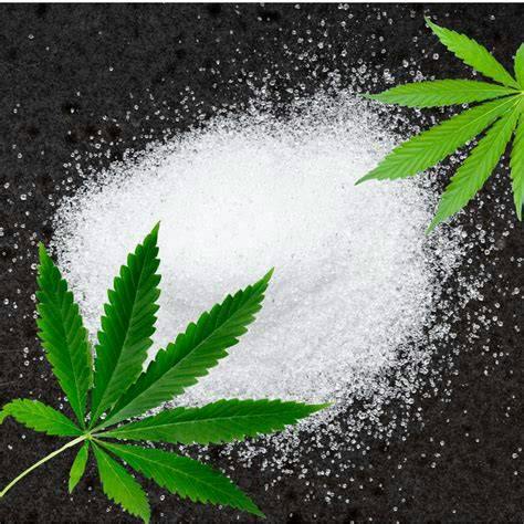 Infused Sugar- 100mg