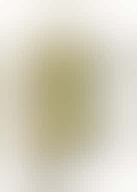 Stay High - Lemon Cherry Gelato 1/2oz (I) Pre-Pack