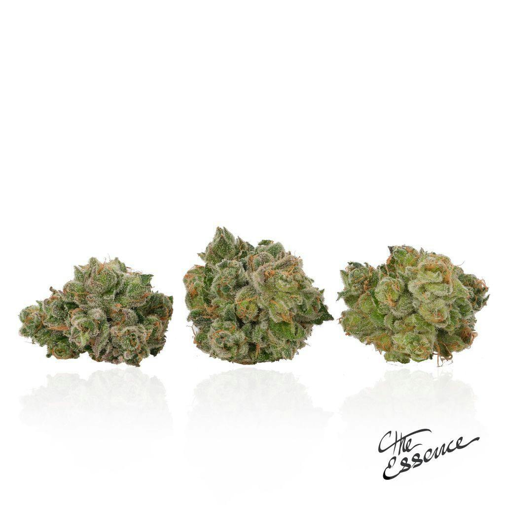 (the) Essence Apple MAC 7g