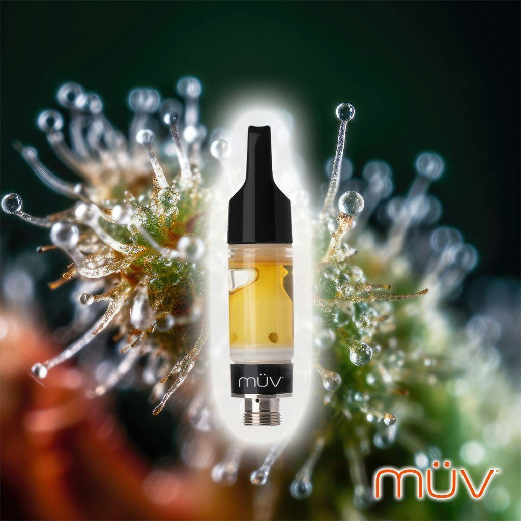 MÜV Live Resin Dosi - Dos 0.5g at MÜV Cannabis Dispensary