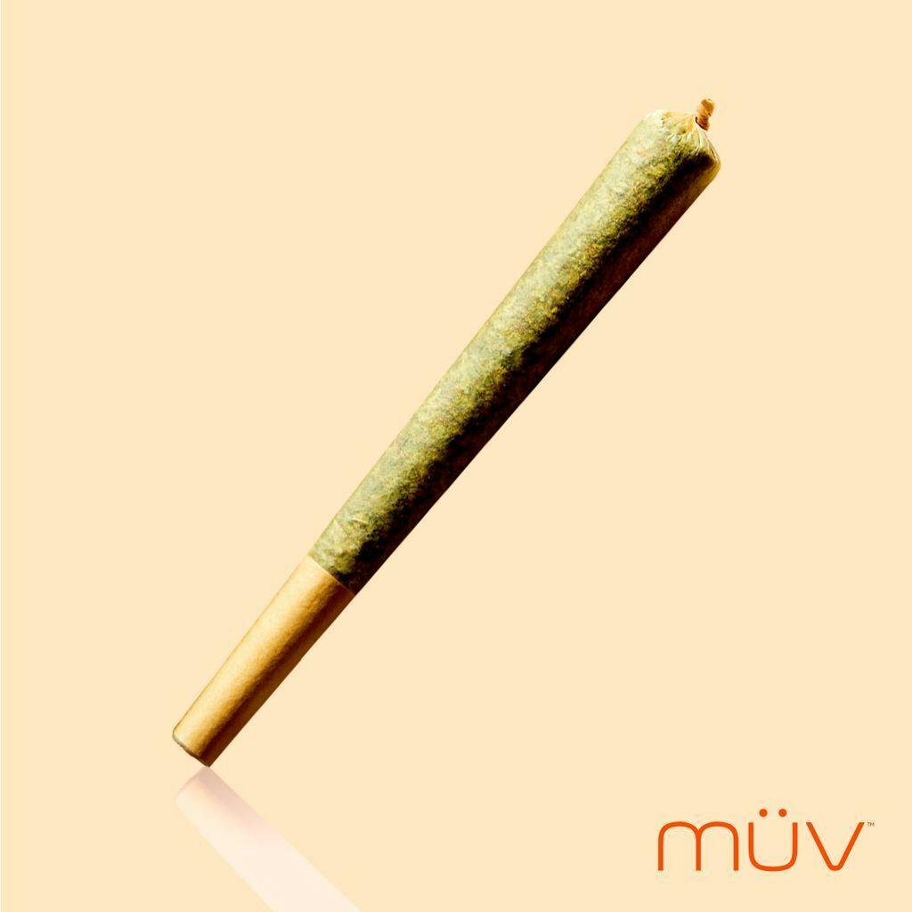 MÜV Mint Shake 1g [1-Pack] at MÜV Cannabis Dispensary