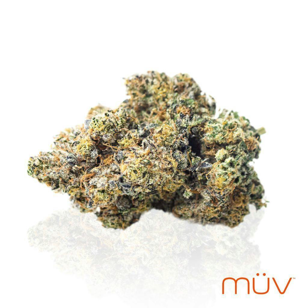 MÜV Rcky Rd 28g