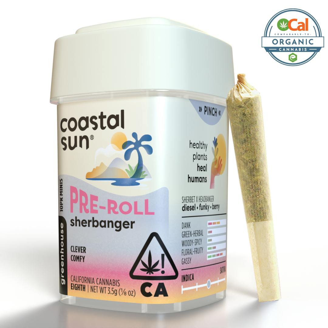 Coastal Sun Sherbanger (H) Preroll 10pk 3.5g