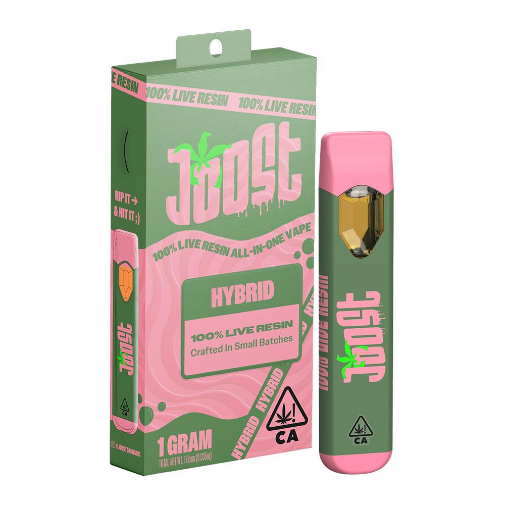 Joost: Gelato 41