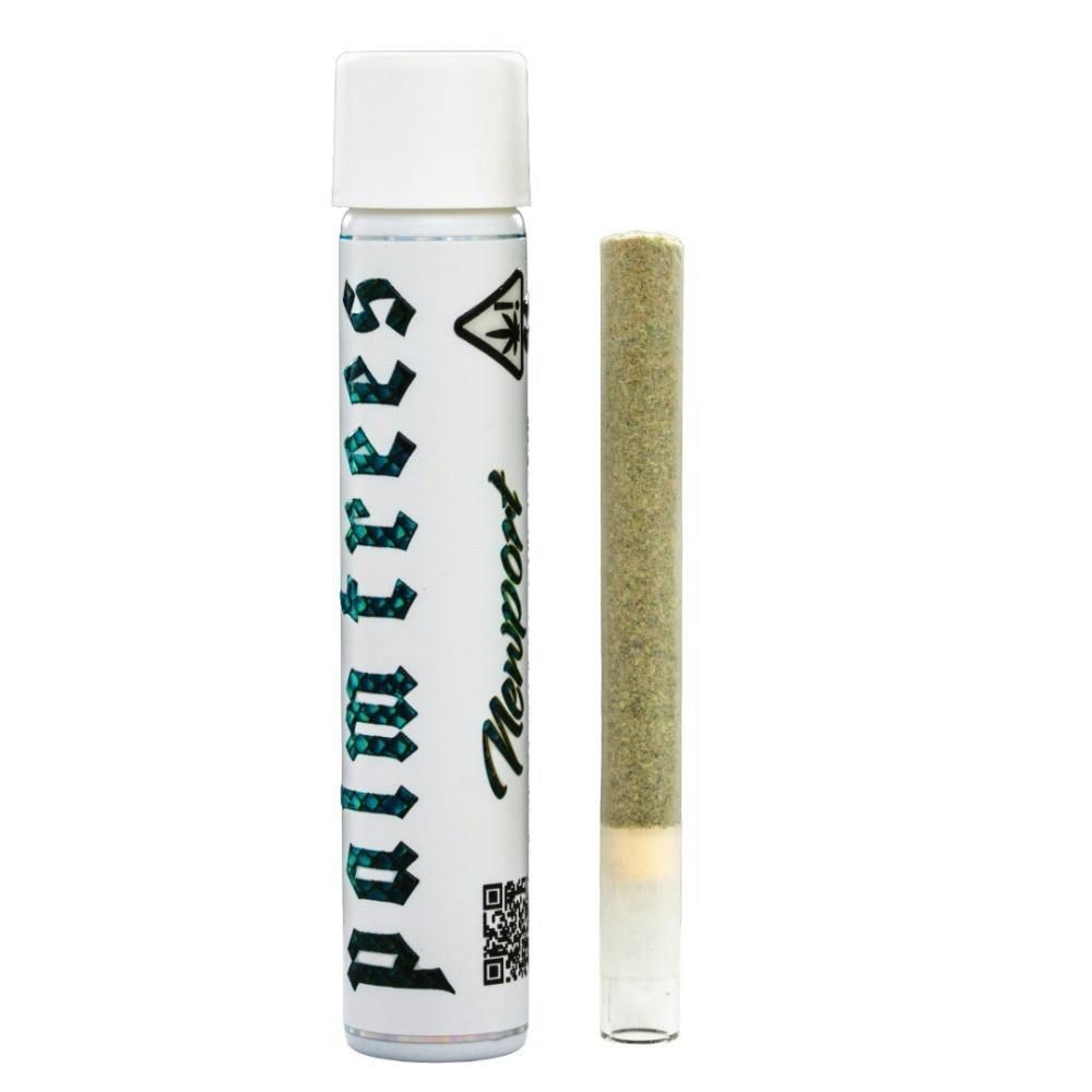 Palm Trees Newport (I) Preroll 2g