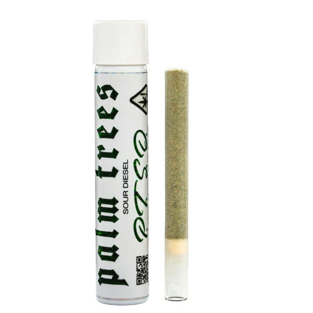 Palm Trees PTSD (S) Prerolls 2g