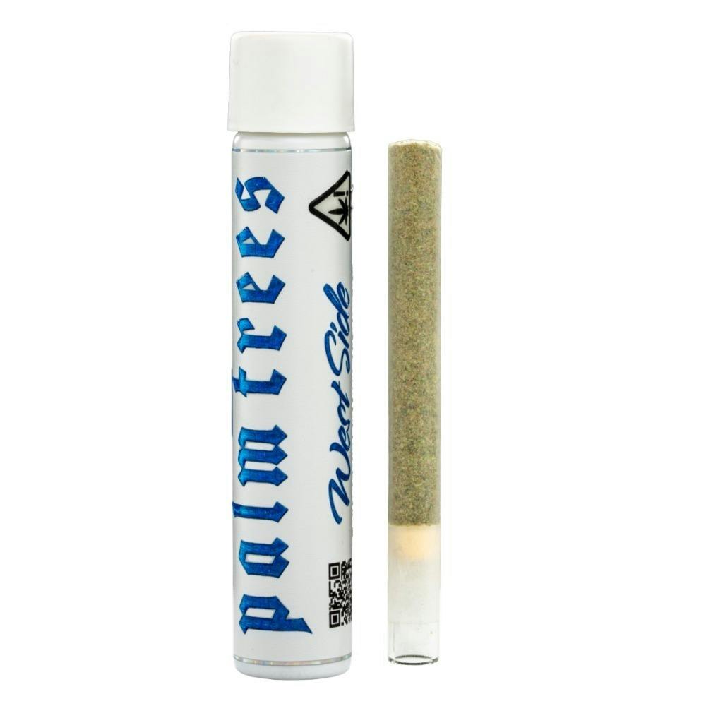 Palm Trees West Side (H) Preroll 2g