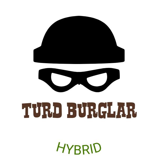 Turd Burglar