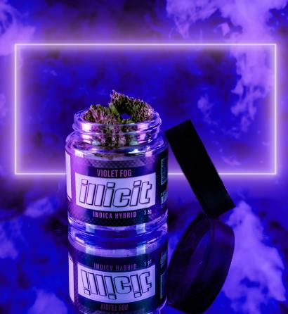 VIOLET FOG 3.5G | FLOWER