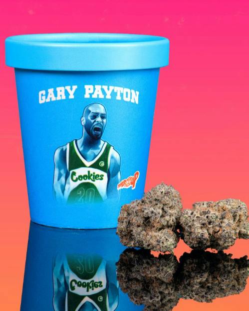 GARY PAYTON 3.5G | FLOWER