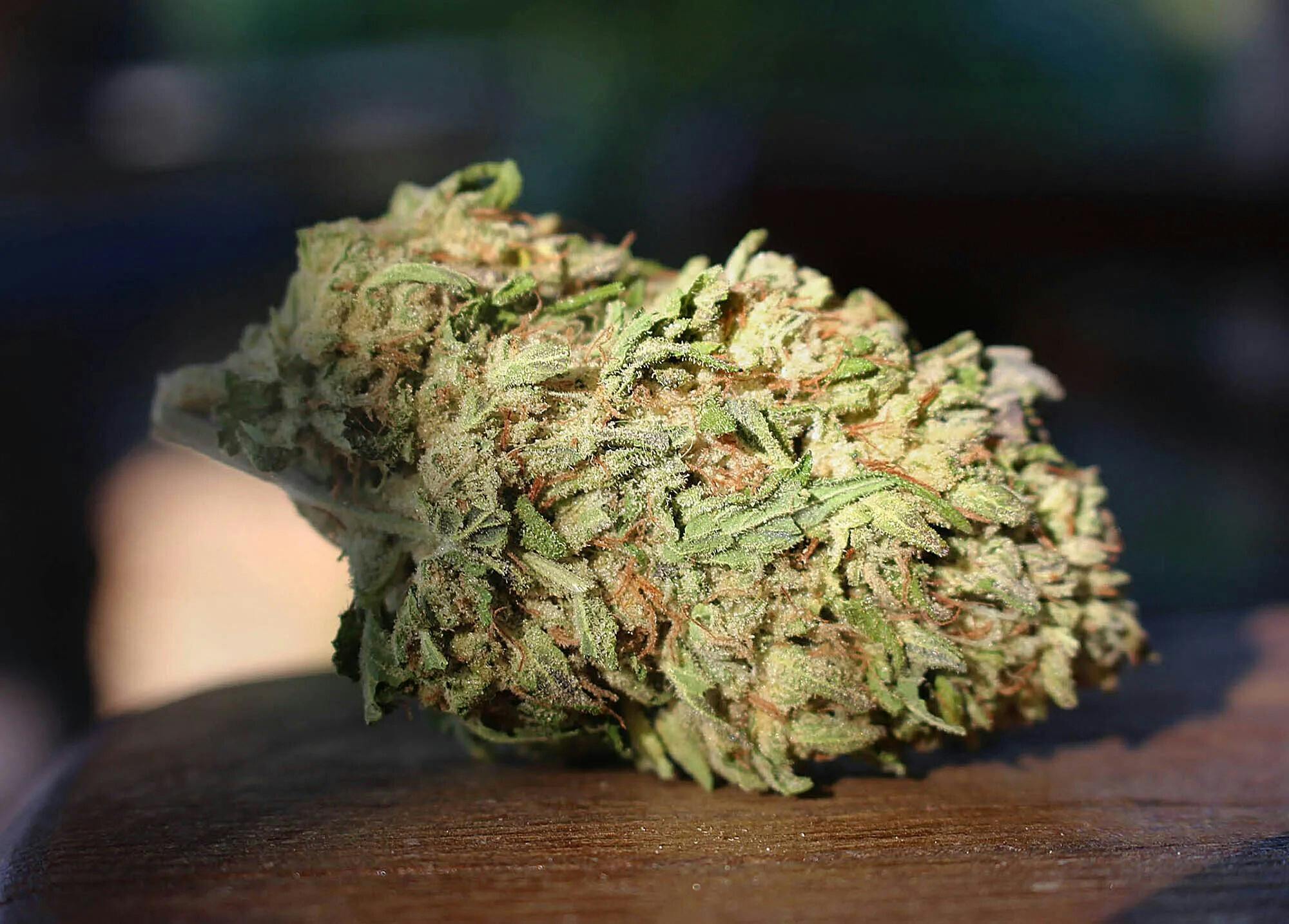 MOON GAZER FARMS — Apricot Cake