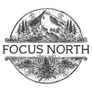Focus North: Ape Shit -each