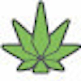Eugreen - Gumbo - Flower - BULK