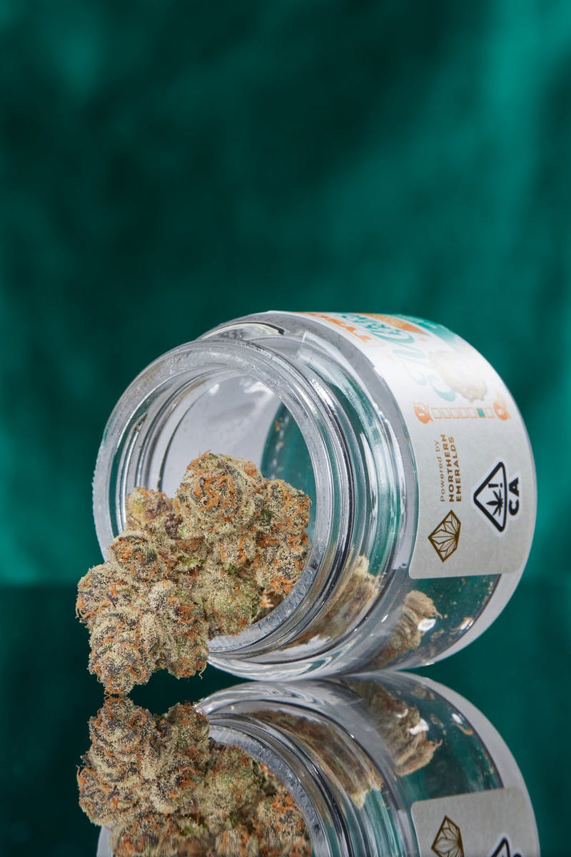 UpNorth - Lemon — Trainwreck