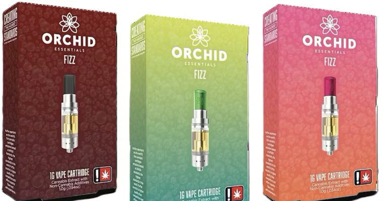 Orchid -: Banana Runtz - Dist