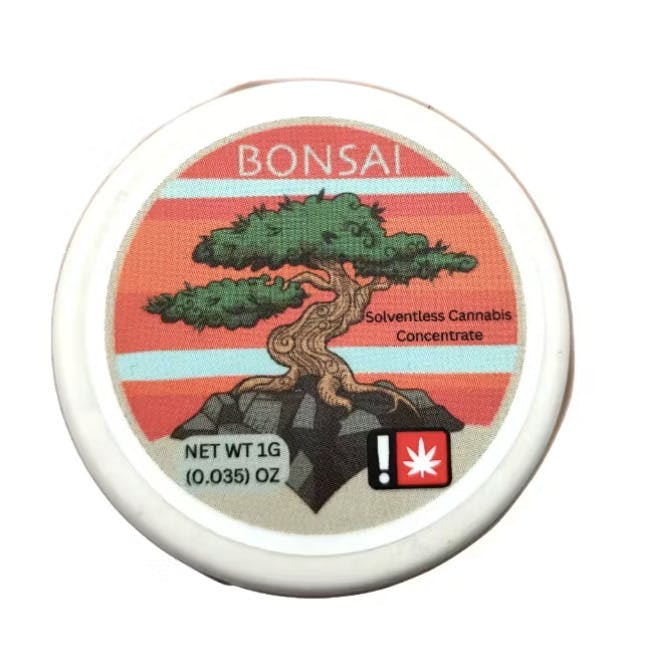 Bonsai: Cherry Paloma - 90 U
