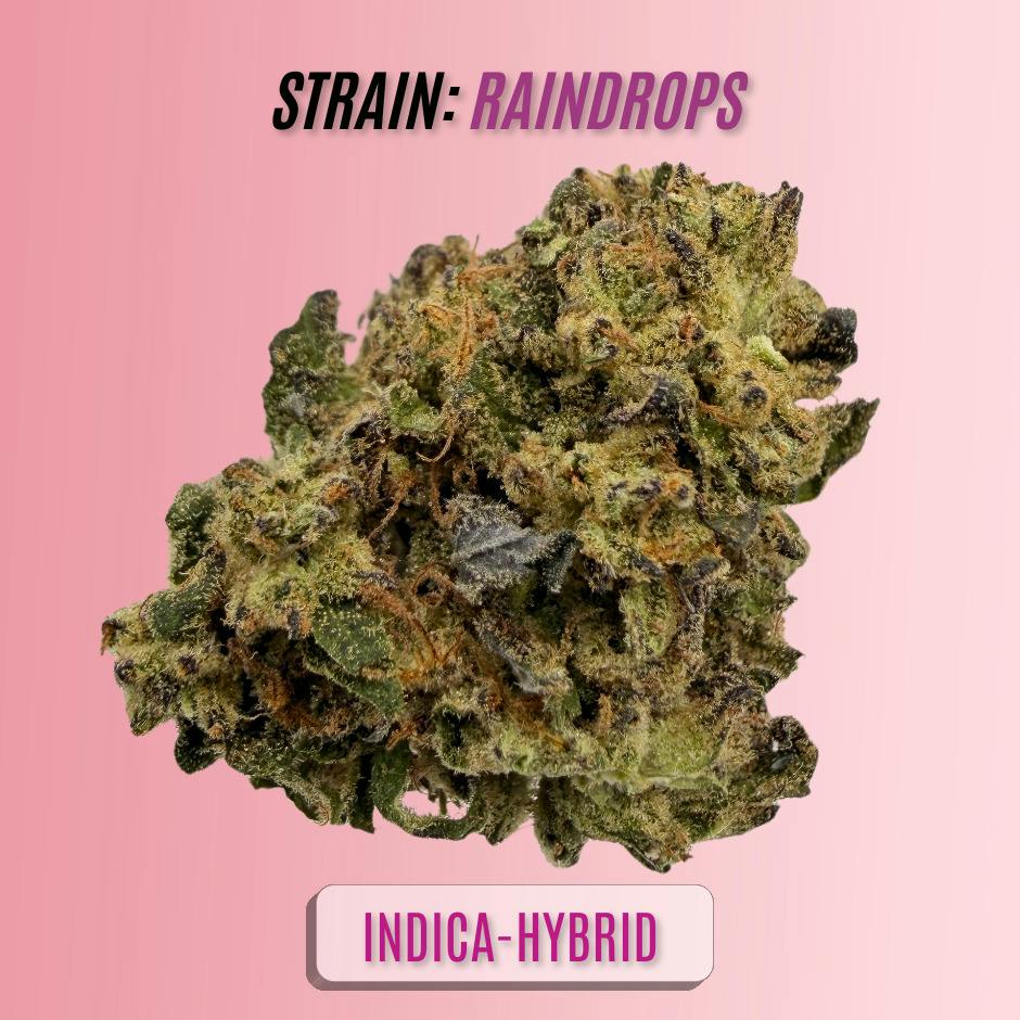 RainDrops (Alta Gardens): RainDrops (Alta Gardens) $