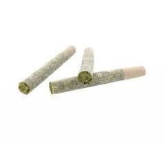 Pacific Cooler - 0.5g Preroll