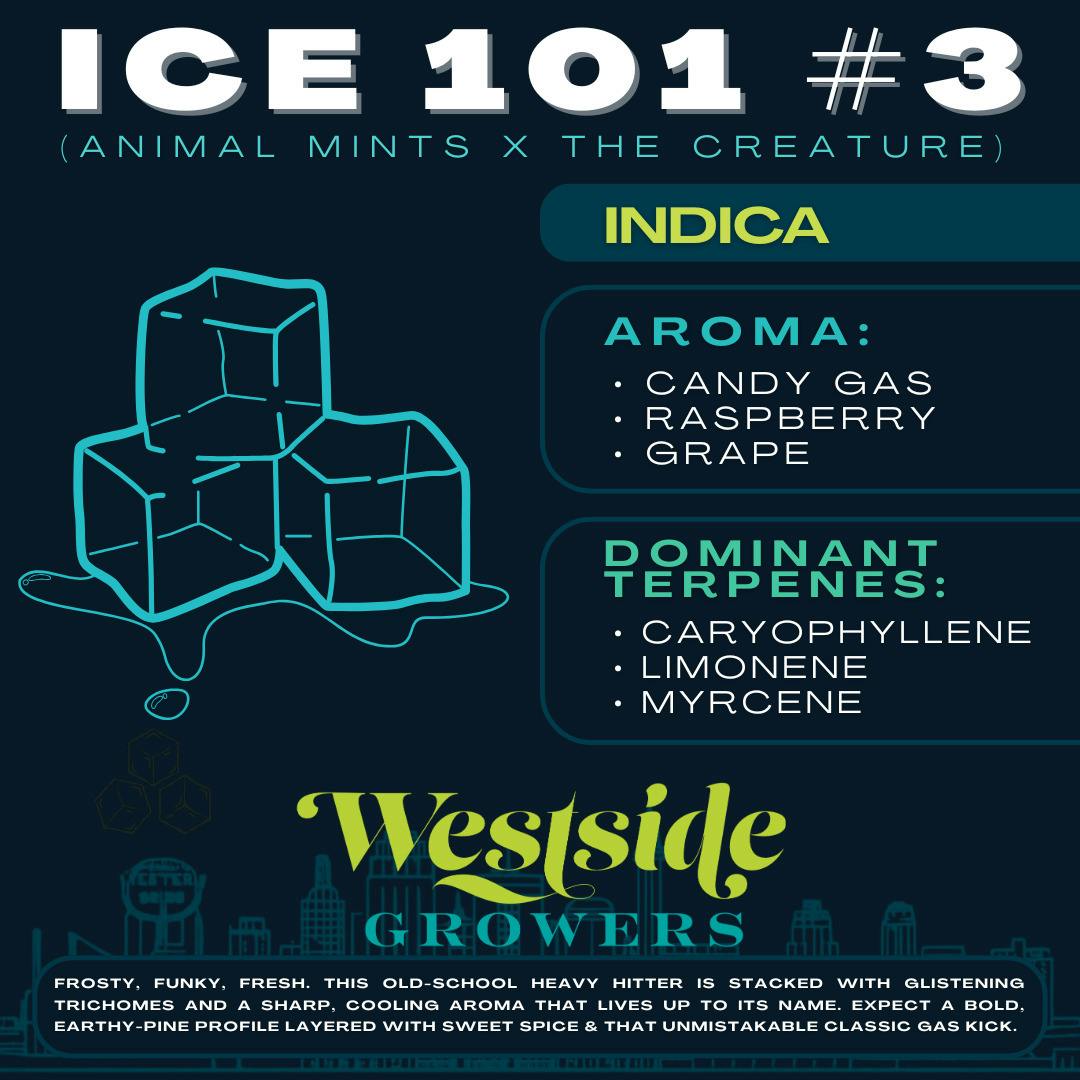 Reserve - Ice 101 #3 - 28g Ounce