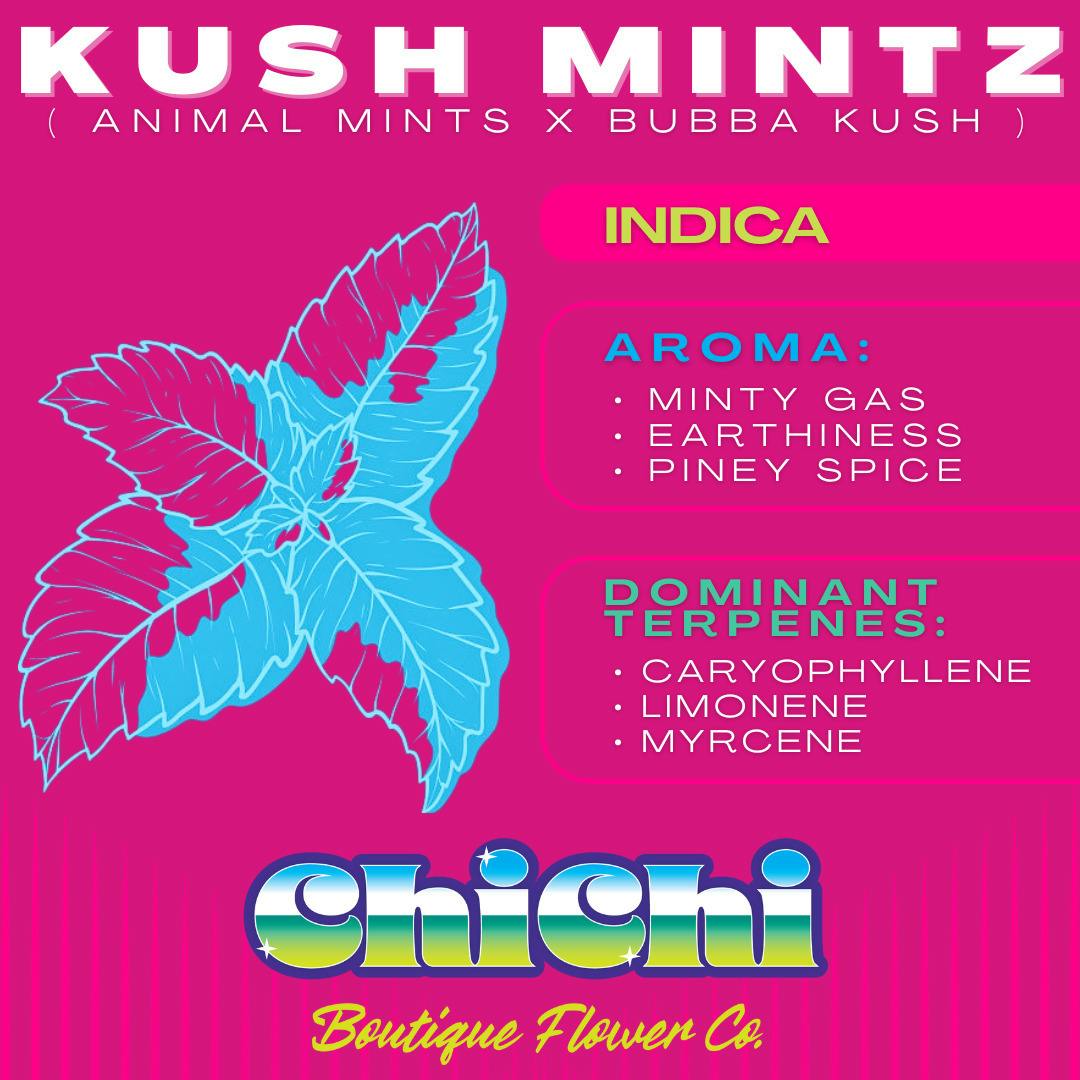 Kush Mintz
