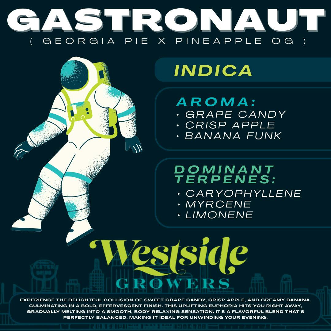Gastronaut Preroll 2 Pack