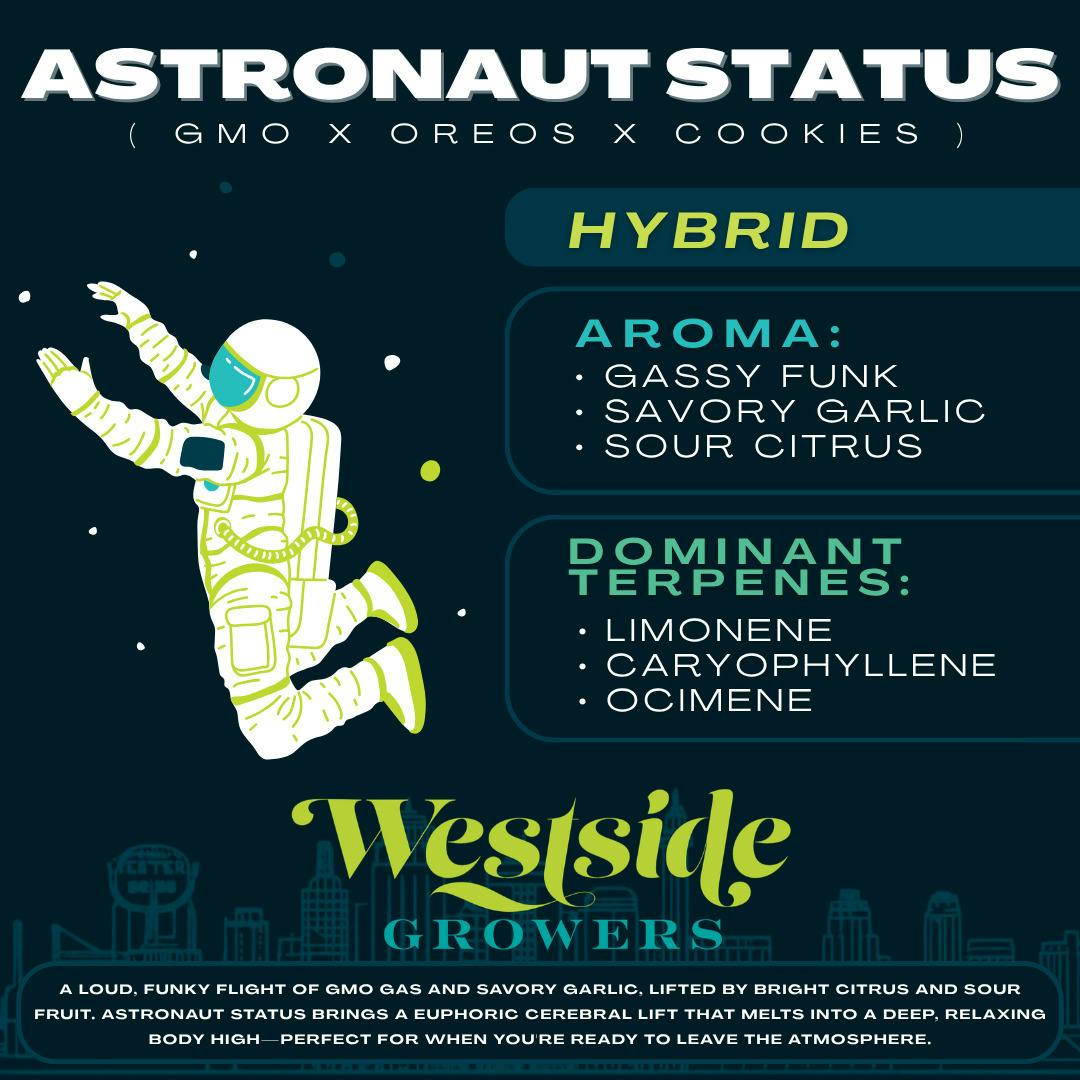 Reserve - Astronaut Status