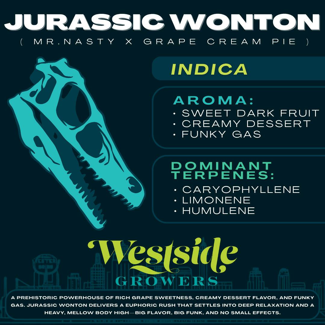 Reserve - Jurassic Wonton