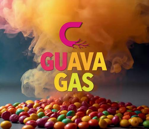 Guava Gas - 2 Pack Preroll