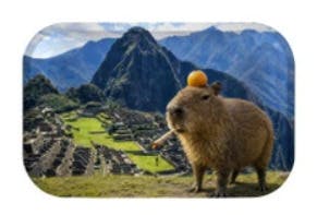 SirEEL - 7x5.5in Capybara Rolling Tray