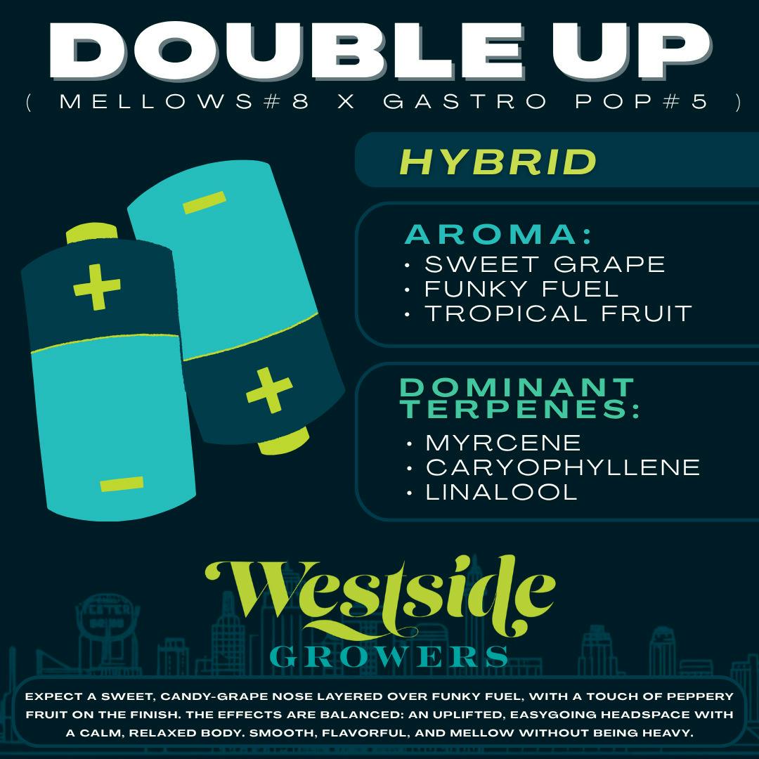 Double Up