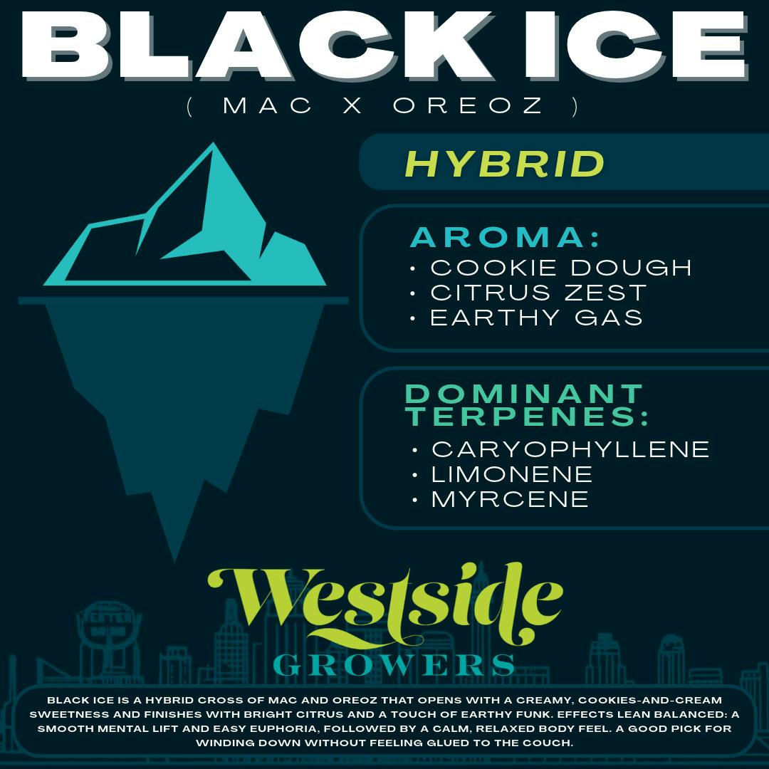 Black Ice