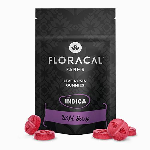 Wild Berry | Gummies | 100mg (20pcs) cannabis product