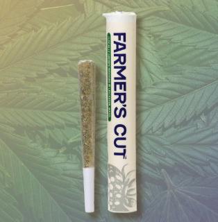 Platinum Garlic | Single Pre-Roll at High Profile X Budega of Roslindale Dispensary