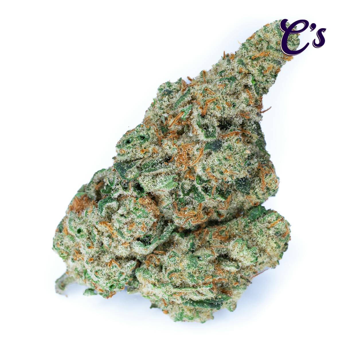 | Chocolatti | Hybrid | Bud