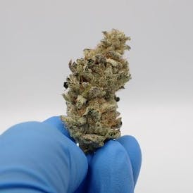 Wedding Mints Flower - I 7G FH