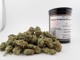 Super Lemon Haze Tier 1 Flower - S 7G