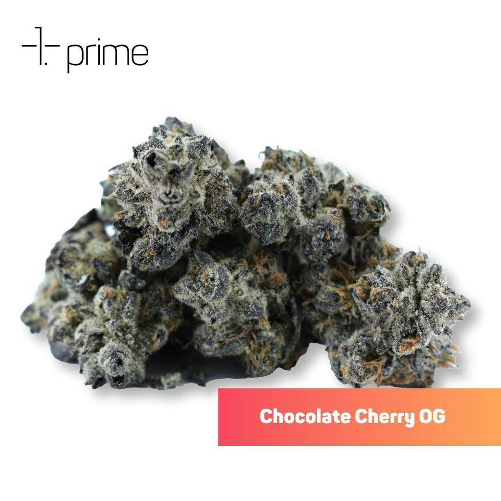 Prime Wellness Chocolate Cherry OG #1 Whole Flower 3.5g