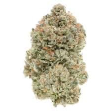 Cherry Gar C Ya