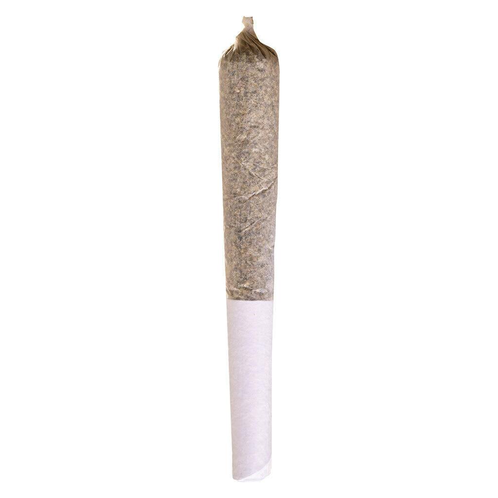 Potluck | Beaver Tail Pre-Roll | 1x0.5g
