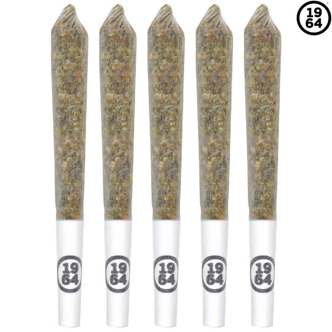 1964 | Comatose Pre-Rolls | 5x0.5g